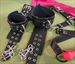 Cuff, Gag, Blindfold, Hogtie Set - FREE SHIPPING - Awesome and only $79.99